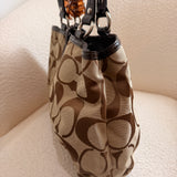 Coach Brown Signature Tote Bag