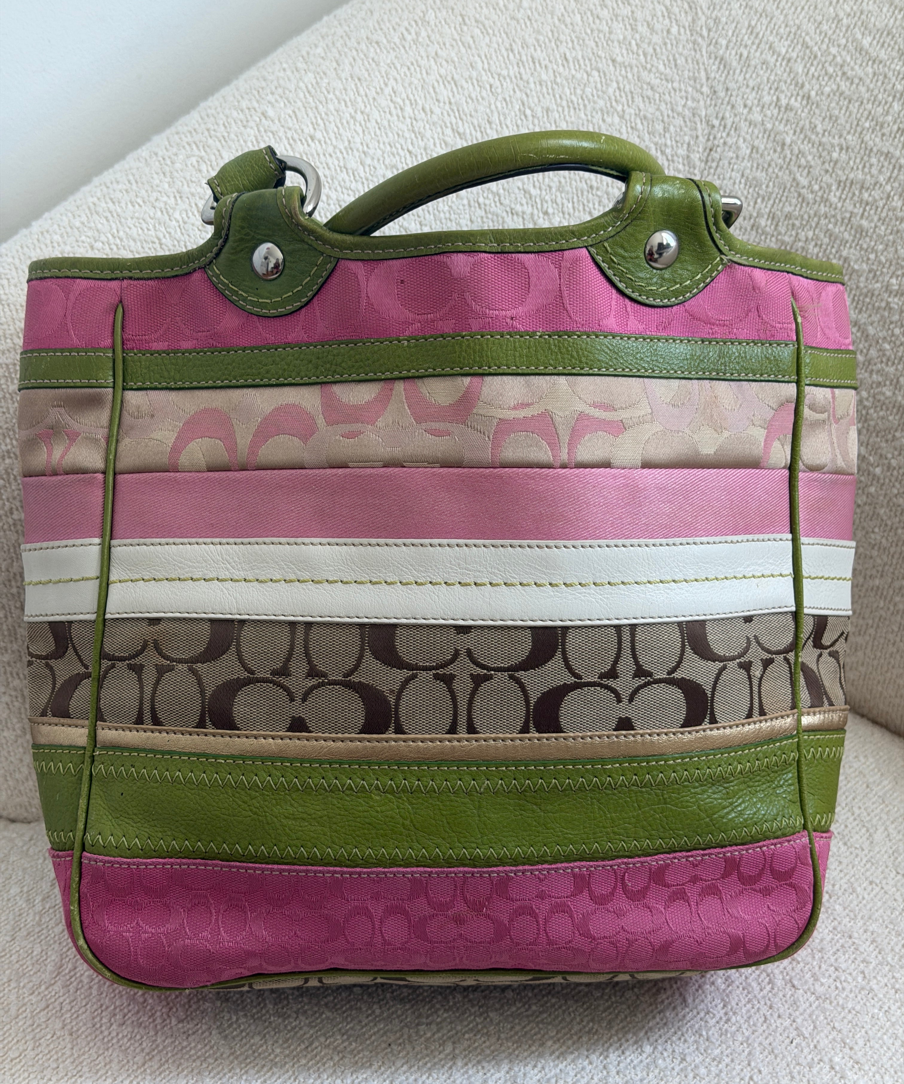 Spring Daisy Coach Bleeker Signature Tote Bag