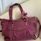 Coach Mauve Pink Leather Ashley Bag