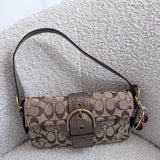 Coach Snakeskin Signature Soho Baguette