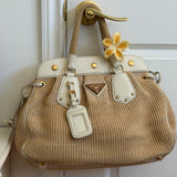 Prada Cinghiale Trimmed Pagila Frame Bag