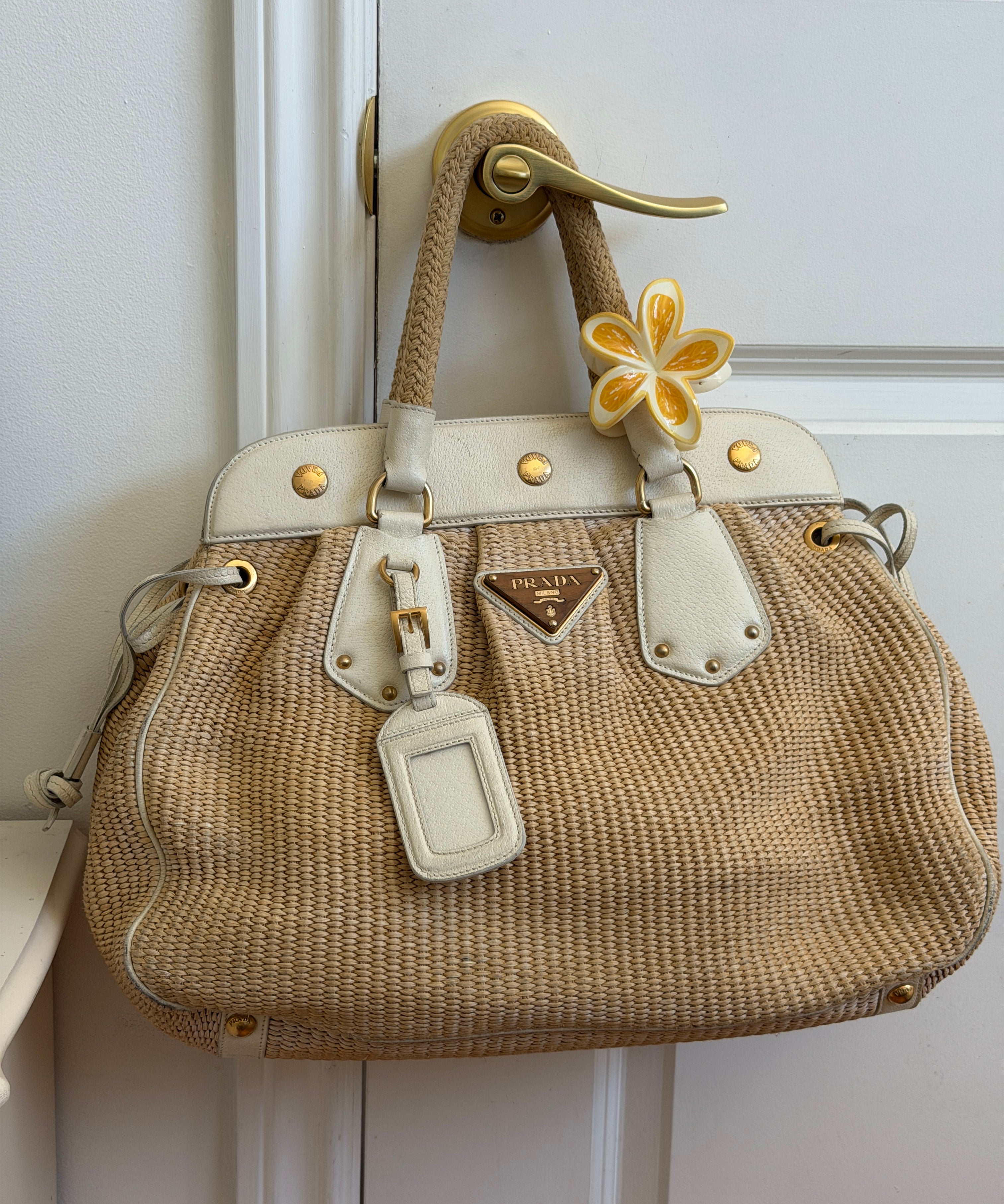 Prada Cinghiale Trimmed Pagila Frame Bag