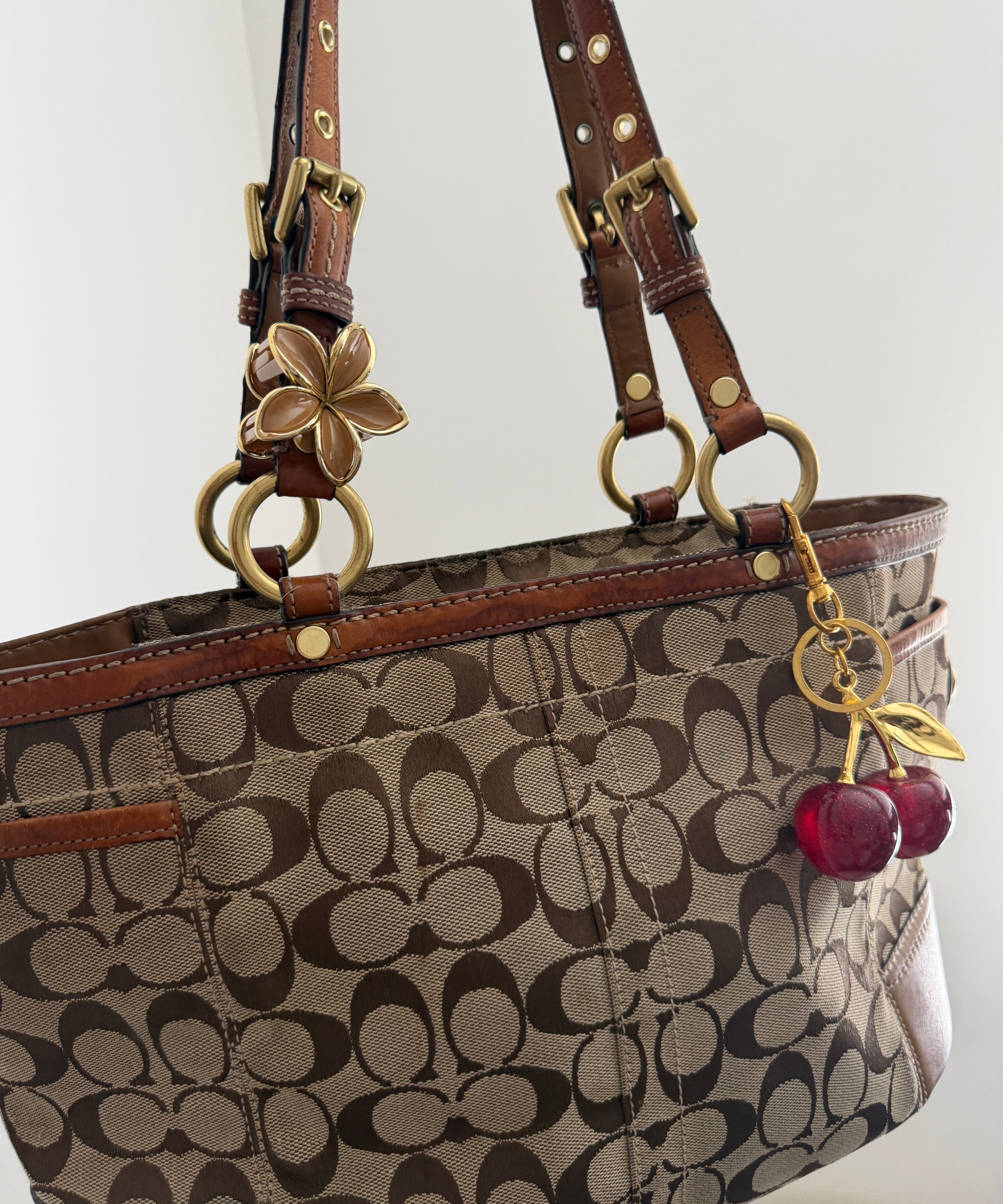 Tan Coach Signature Tote Bag