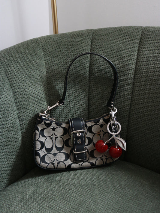 Coach Grey Demi Hamptons Buckle Bag