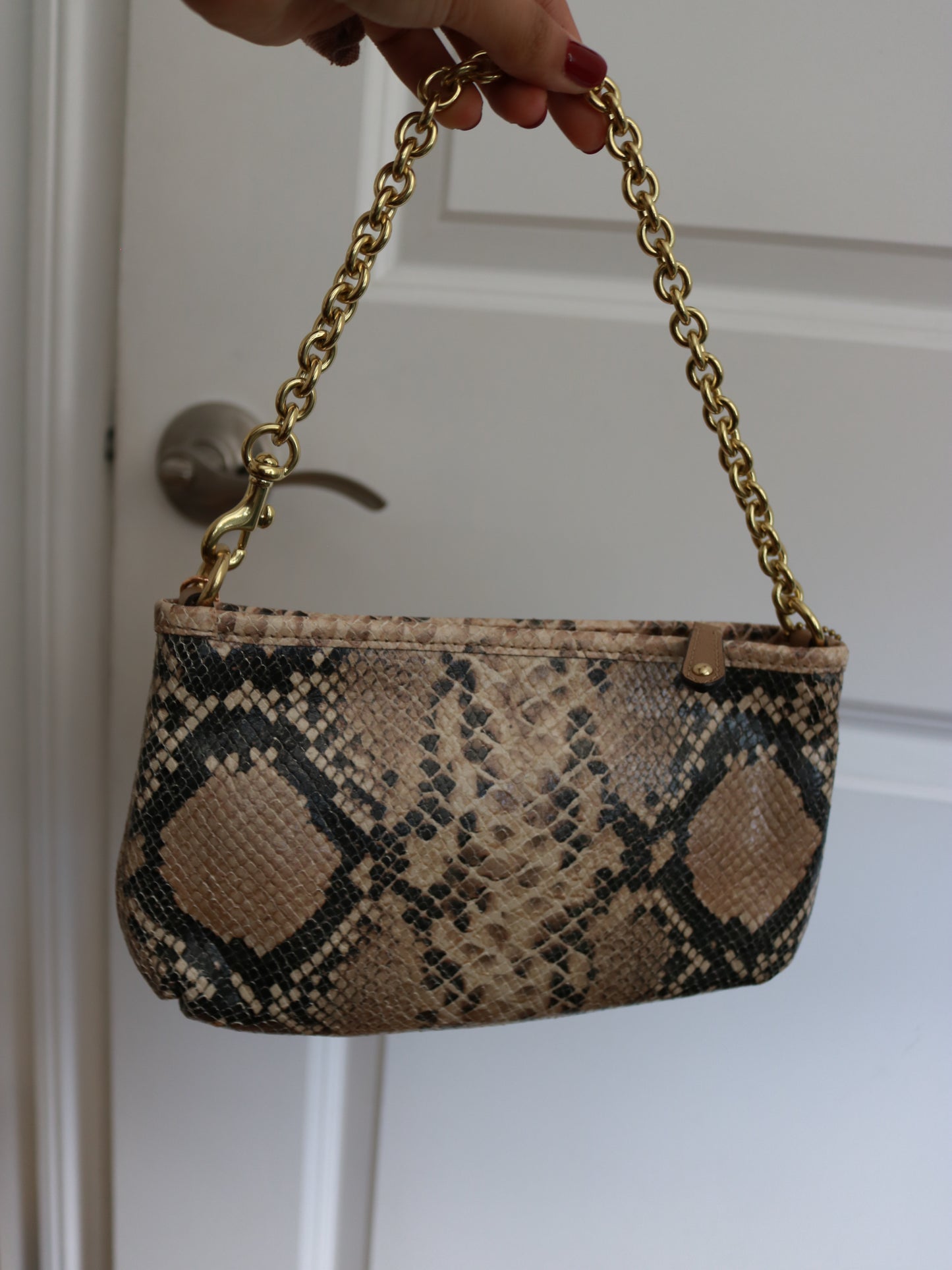 Coach Snakeskin Madison Mini Bag