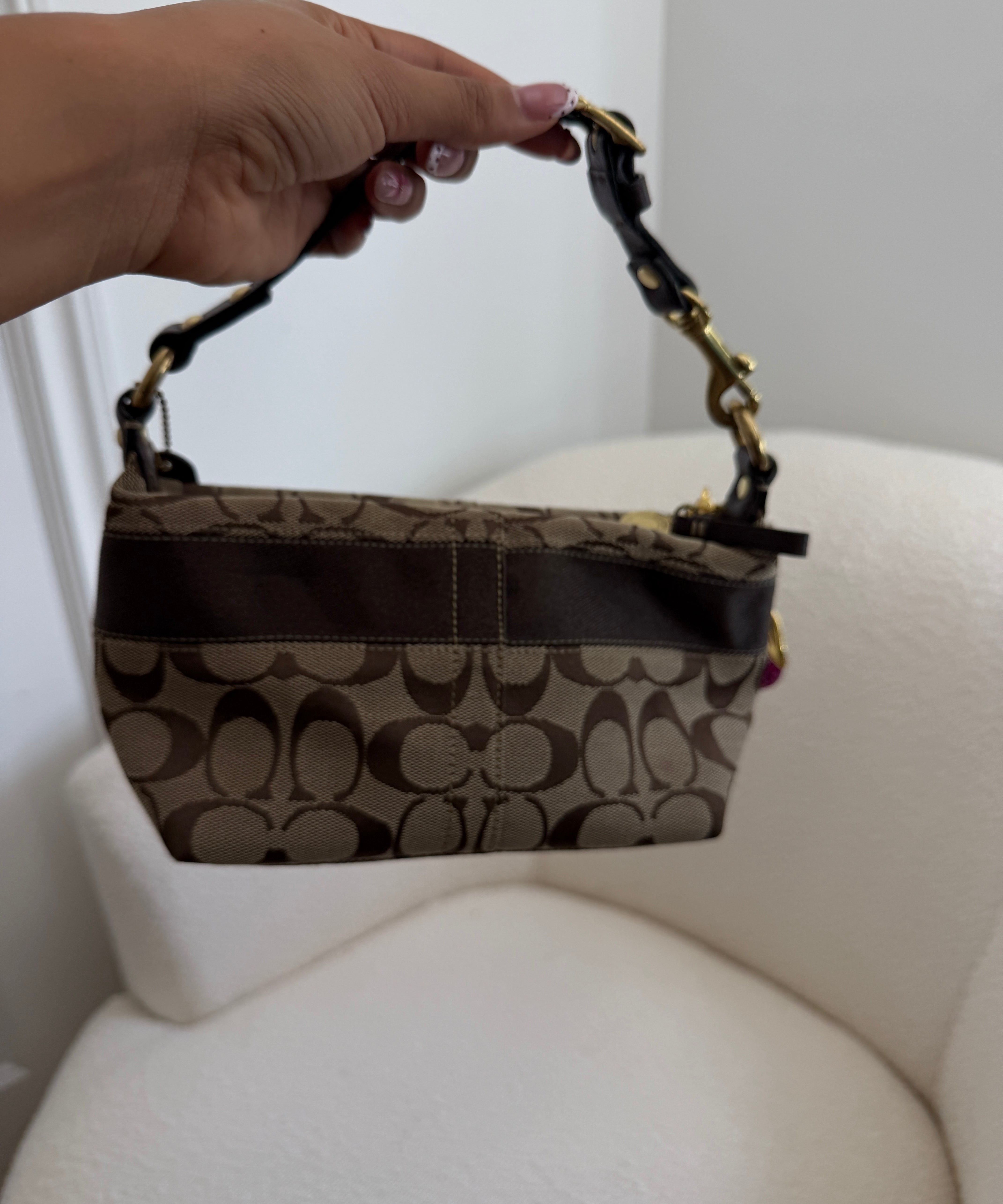 Coach Brown Signature Stripe Pochette