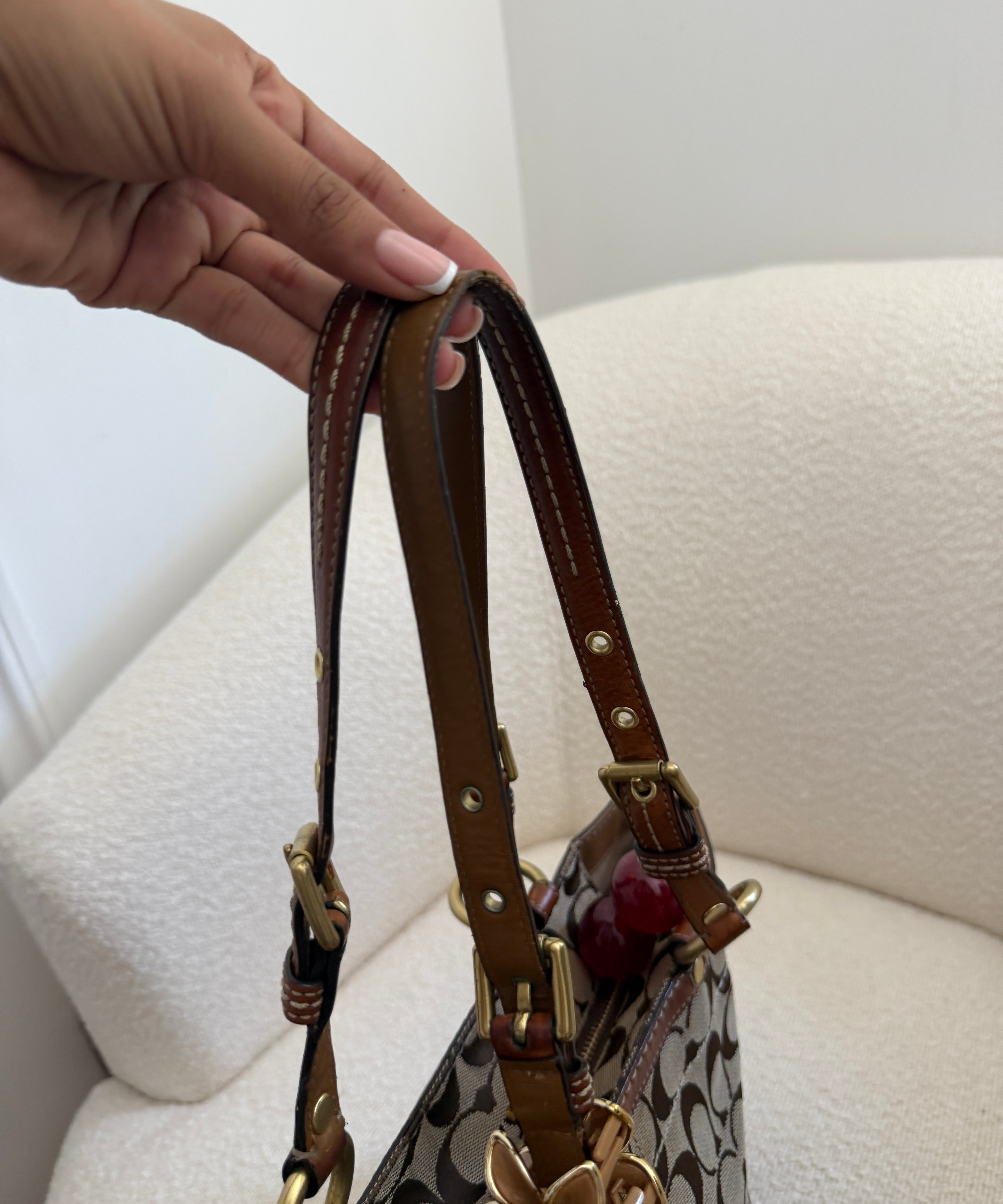 Tan Coach Signature Tote Bag