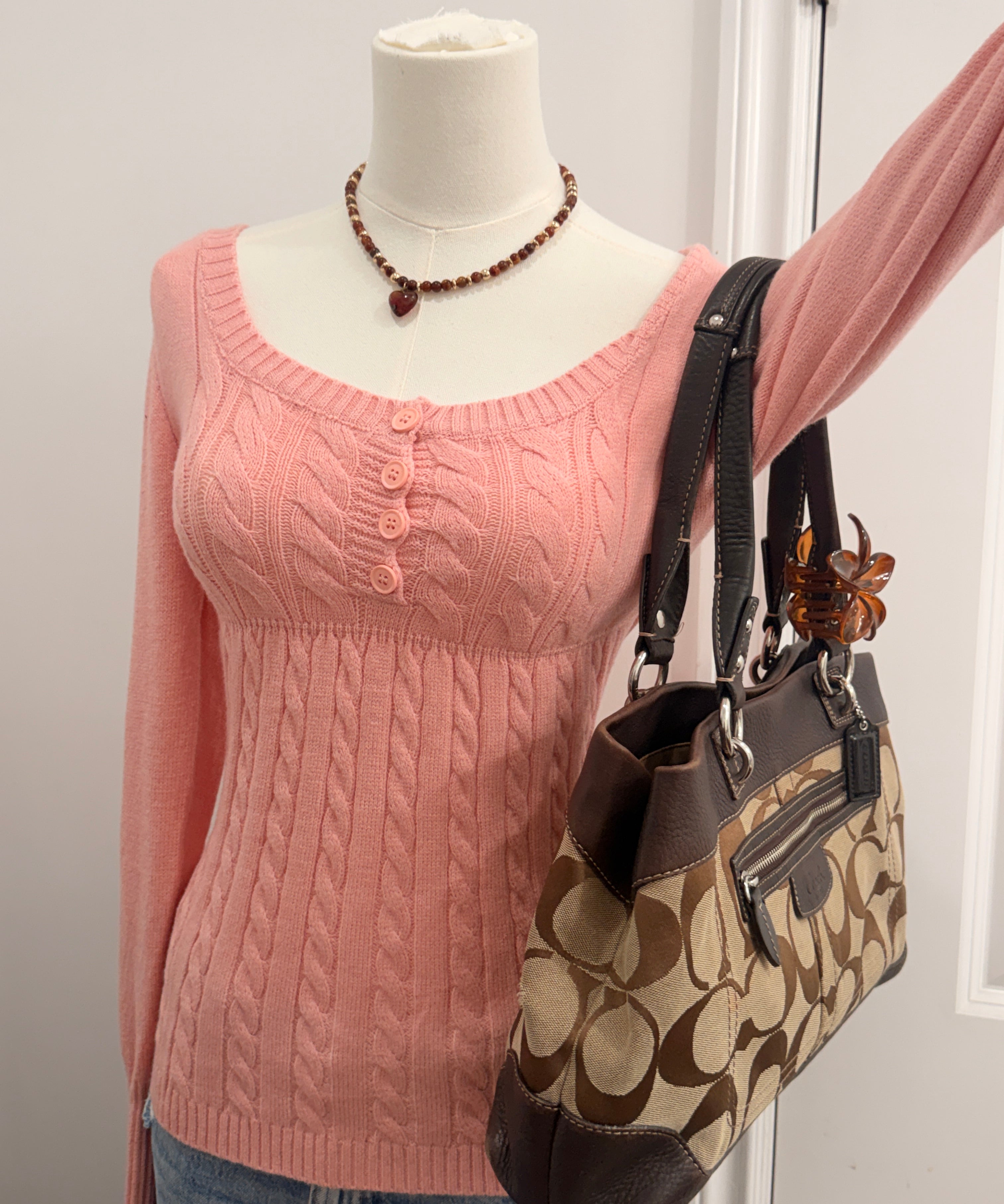 Coach Brown Trim Signature Tote Bag
