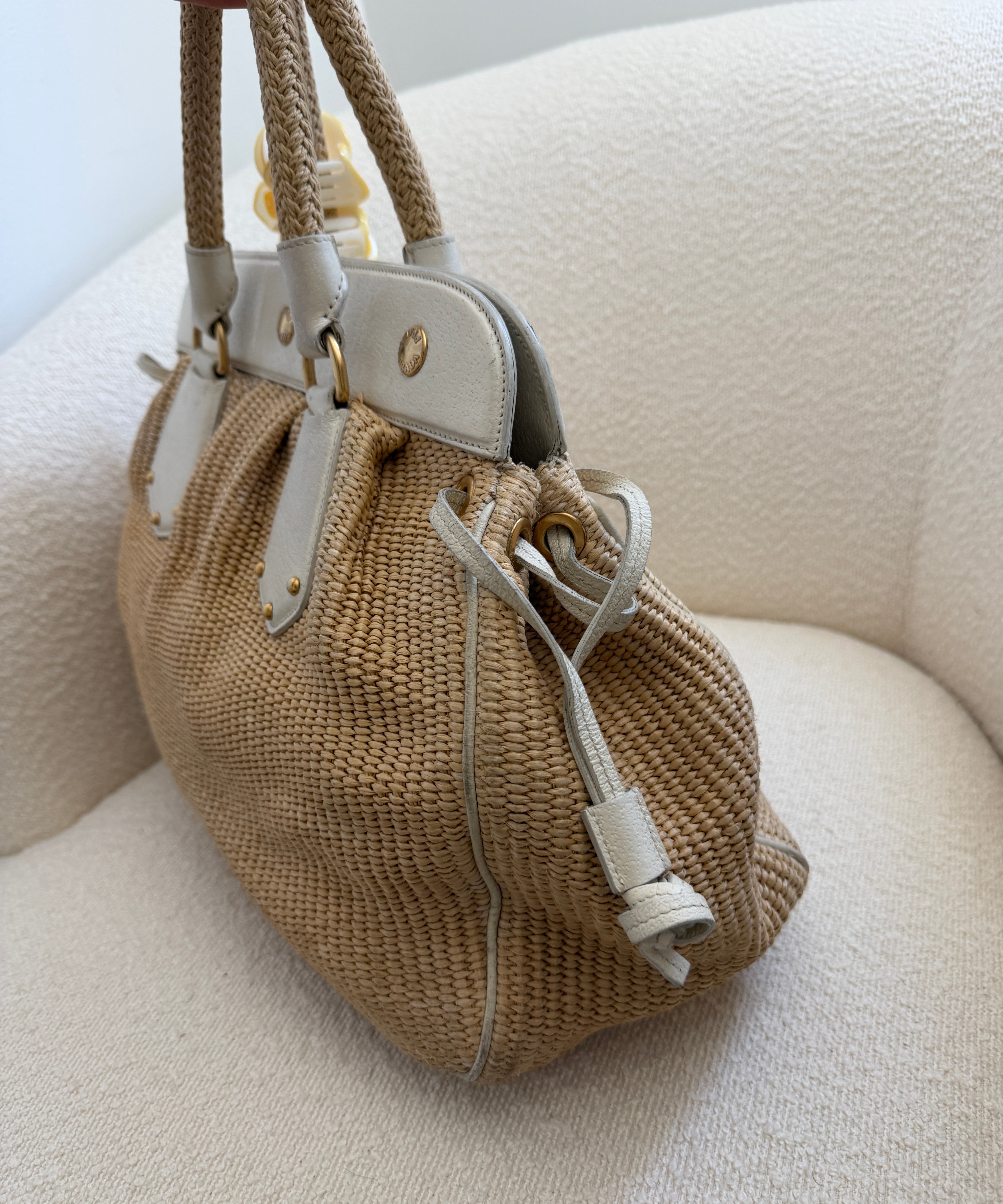 Prada Cinghiale Trimmed Pagila Frame Bag