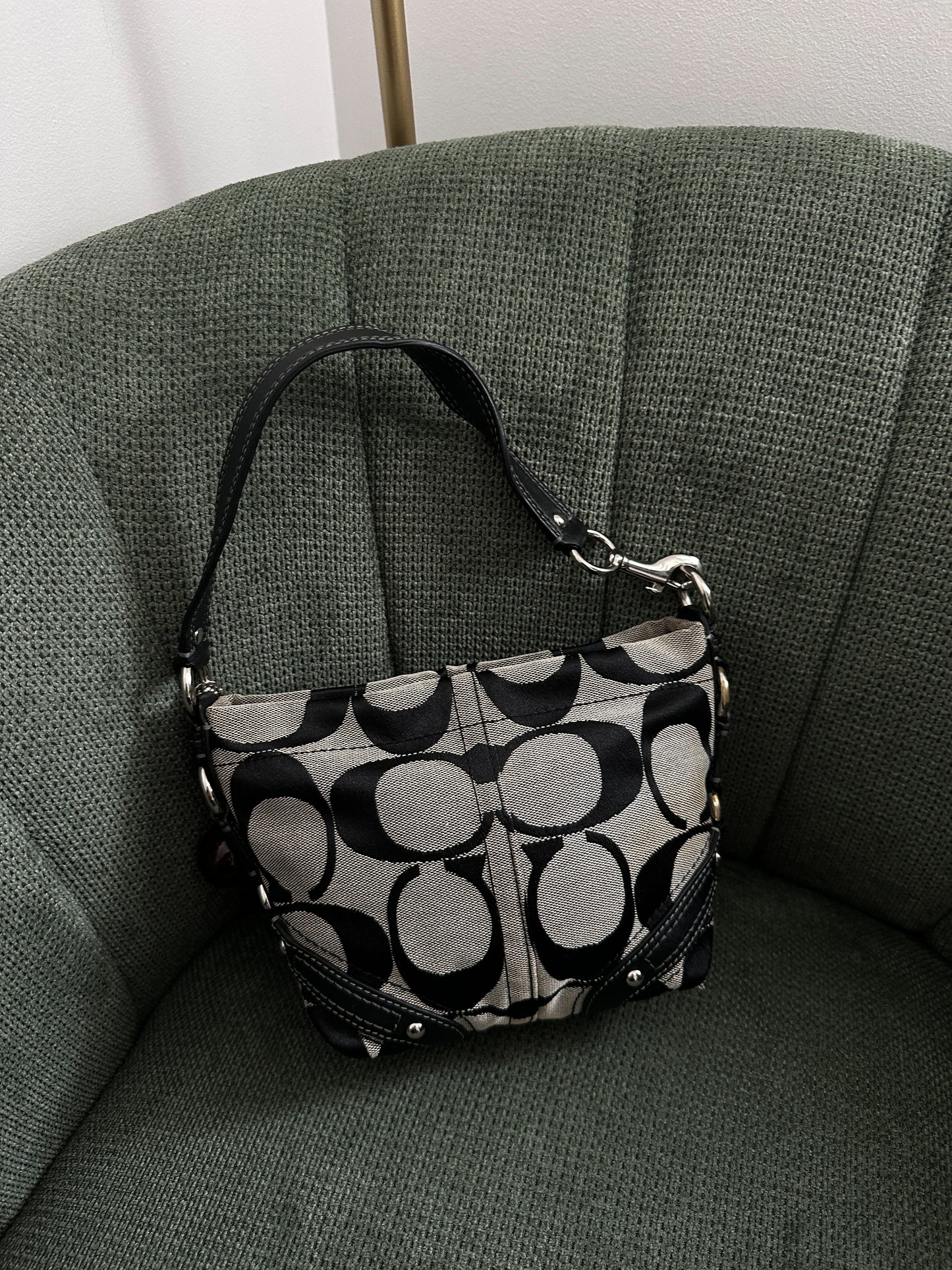 Grey Coach Signature Mini Carly Bag