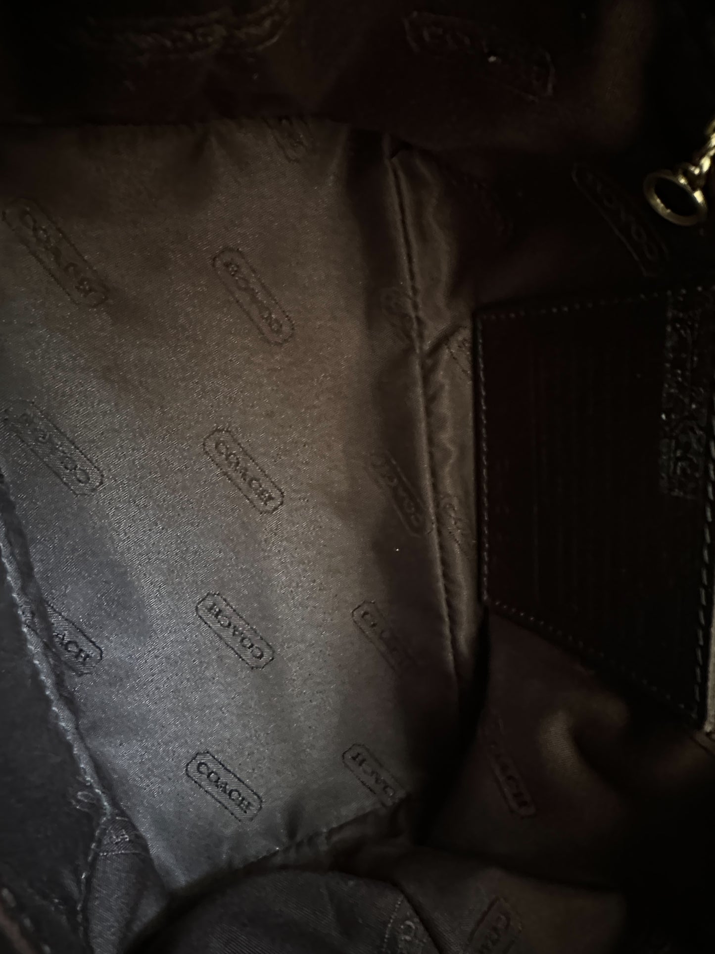 Coach Brown Pochette Bag