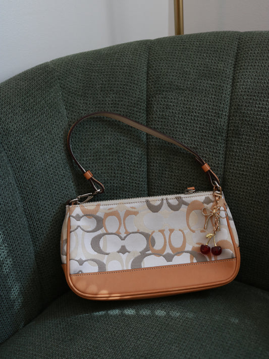 Coach Optic Demi Hamptons Bag