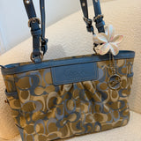 Baby Blue Coach Optic Tote Bag