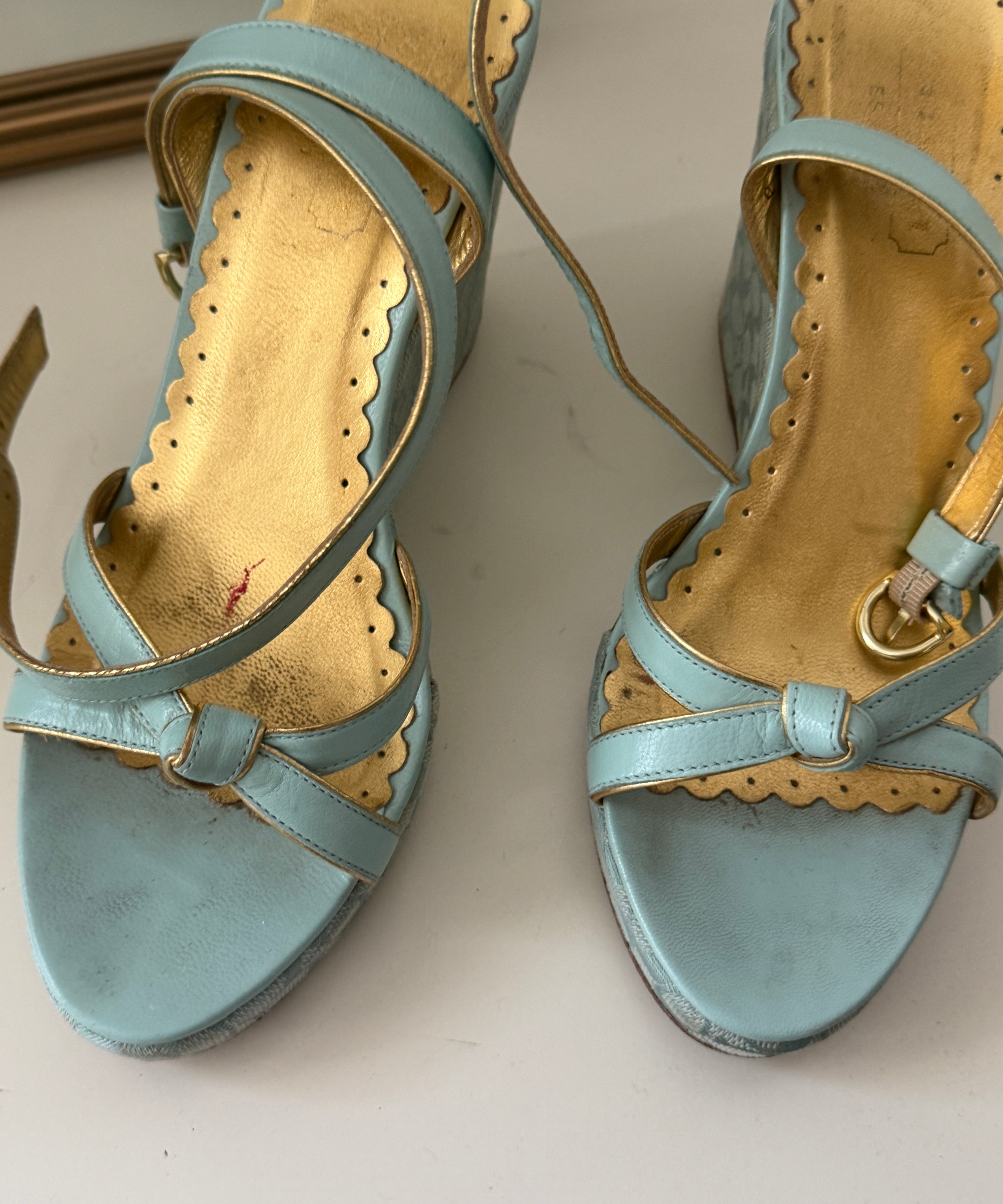 Coach Blue Peep-Toe Cathleen Wedges (7)