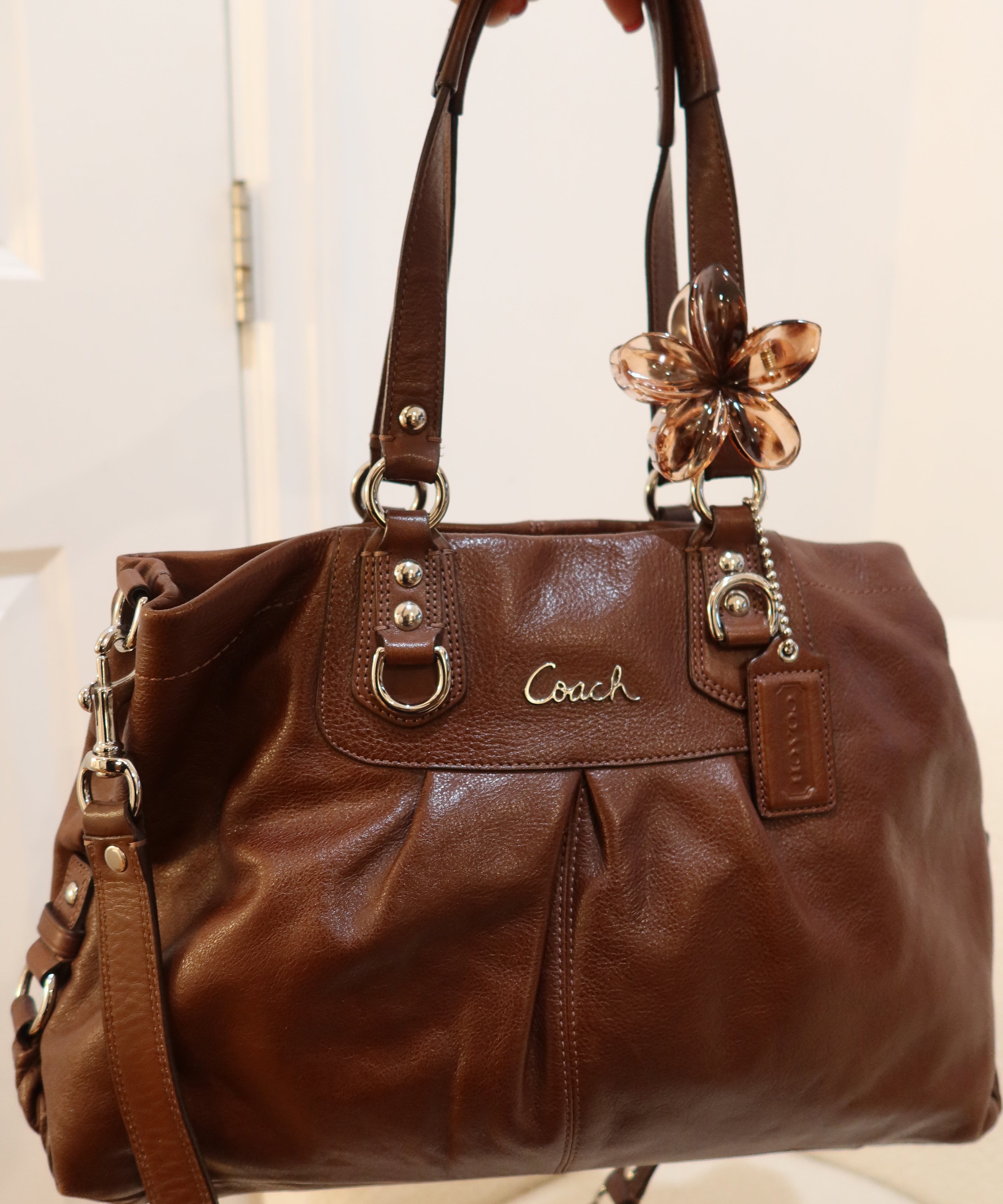 Coach Brown Leather Ashley Carry-All Bag