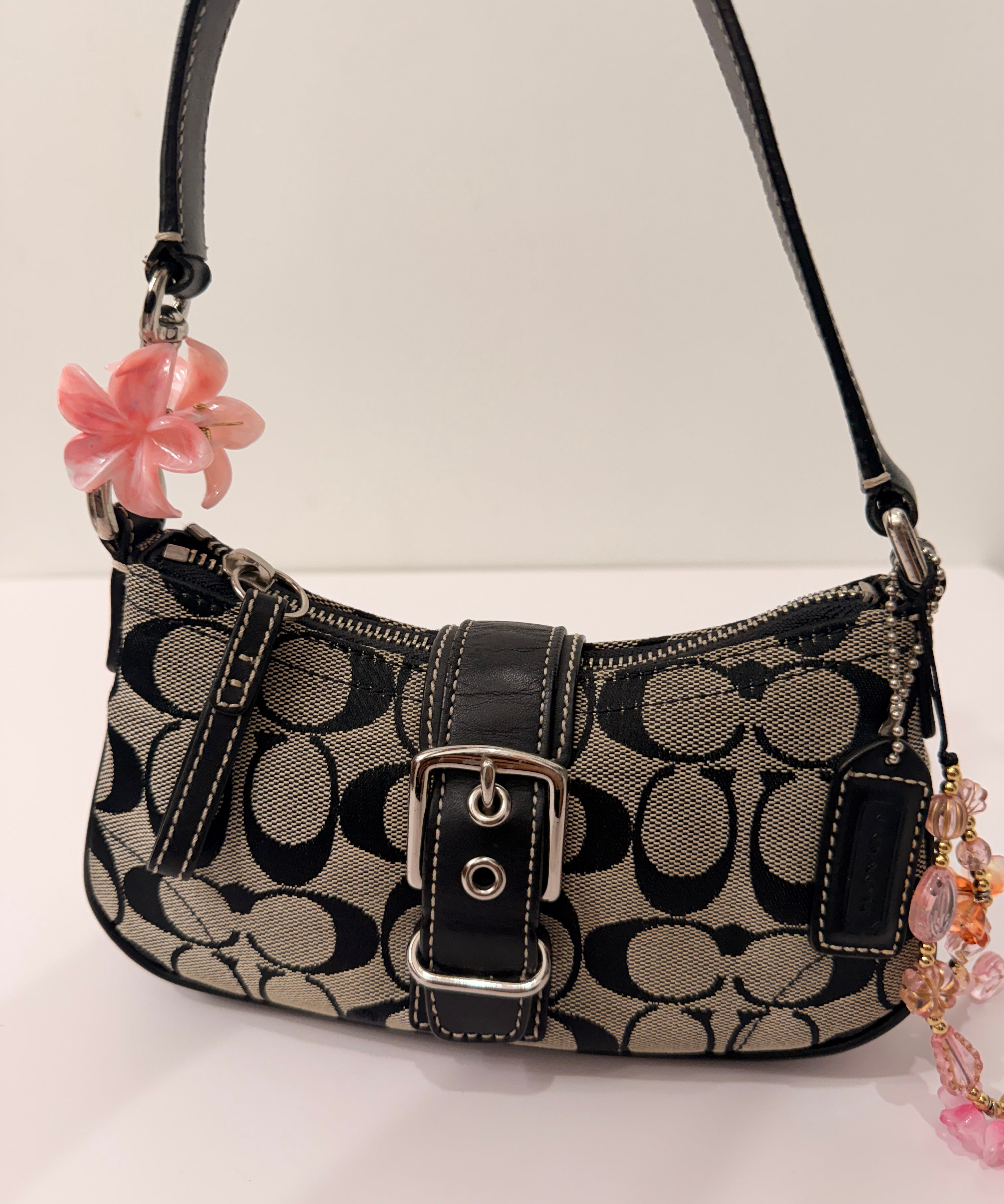 Coach Grey Signature Demi Hamptons Bag