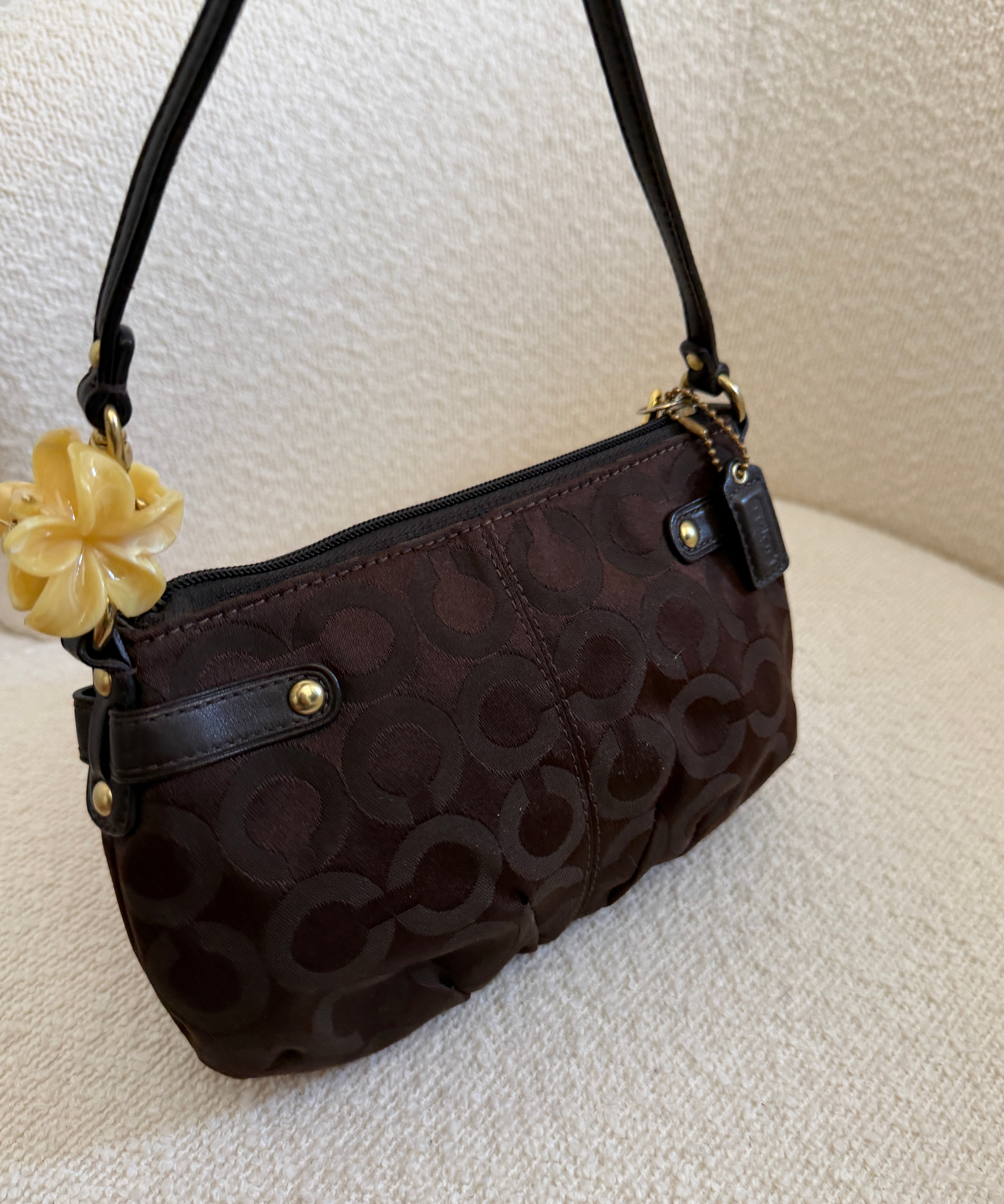 Rare Brown Coach Op Art Mini Bag
