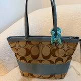 Coach Blue Stripe Tote Bag