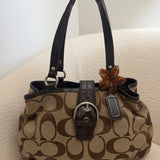 Coach Brown Signature Tote Bag