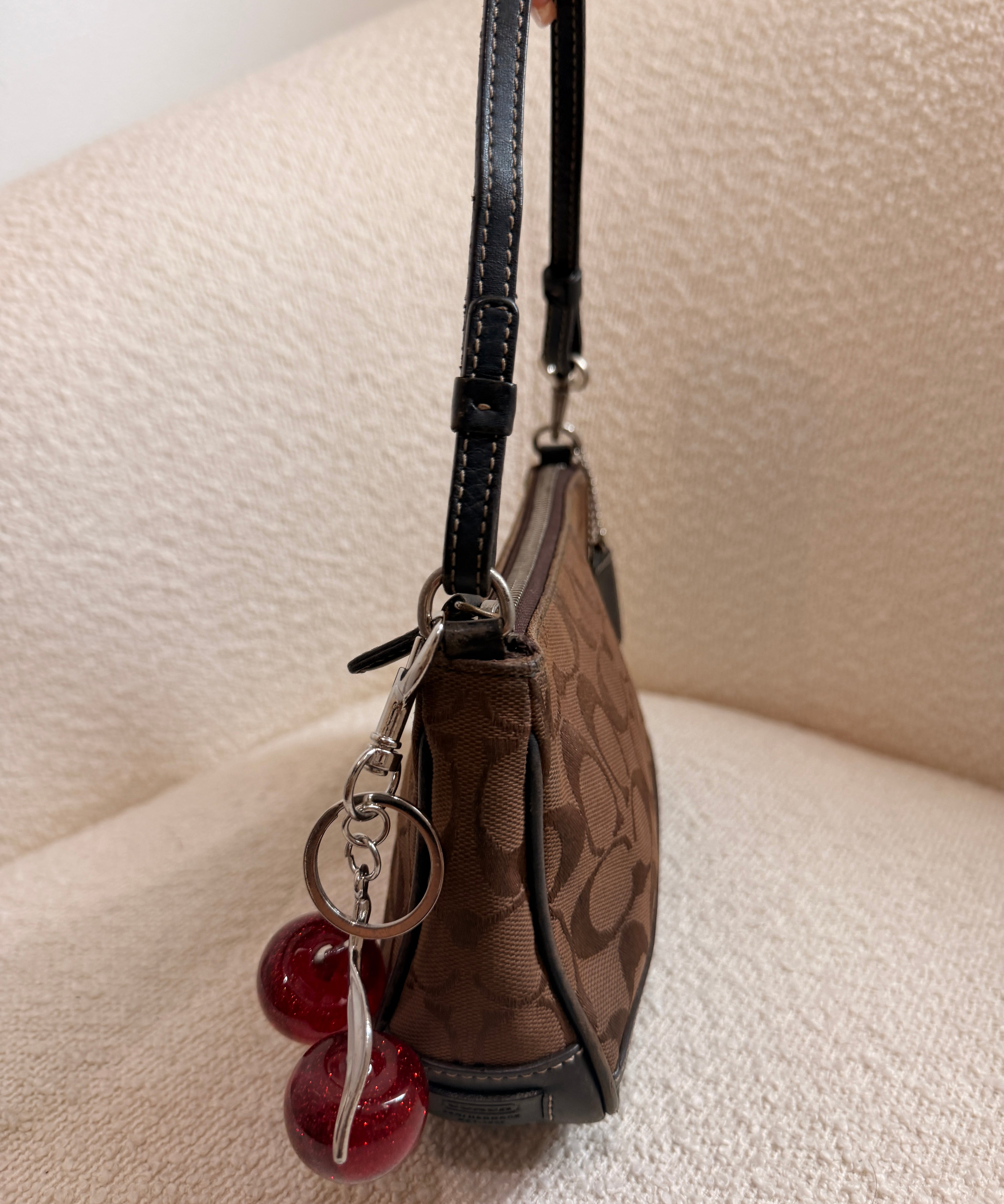 Coach Brown Signature Demi Hamptons Bag