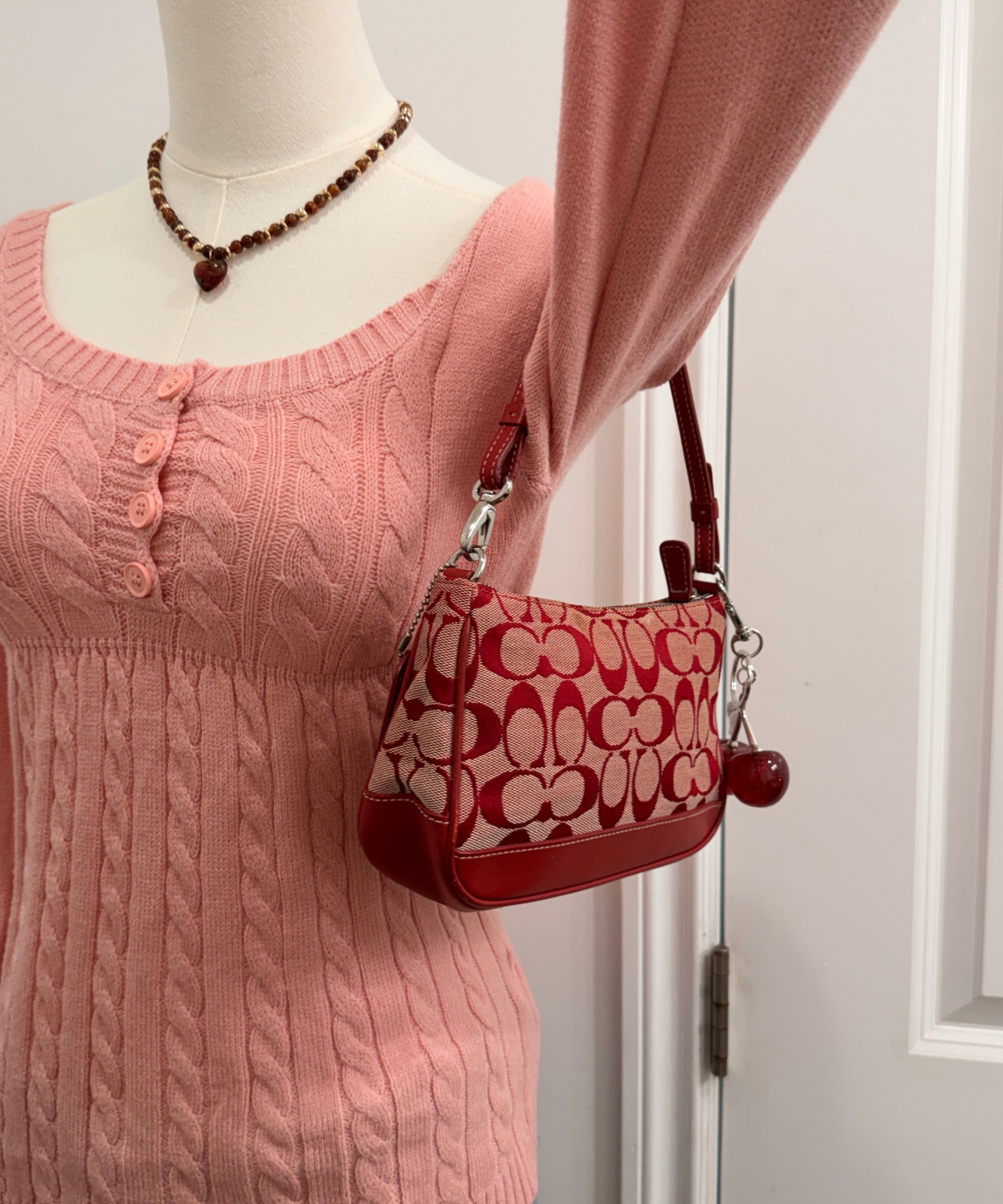 Coach Red Signature Demi Hamptons Bag
