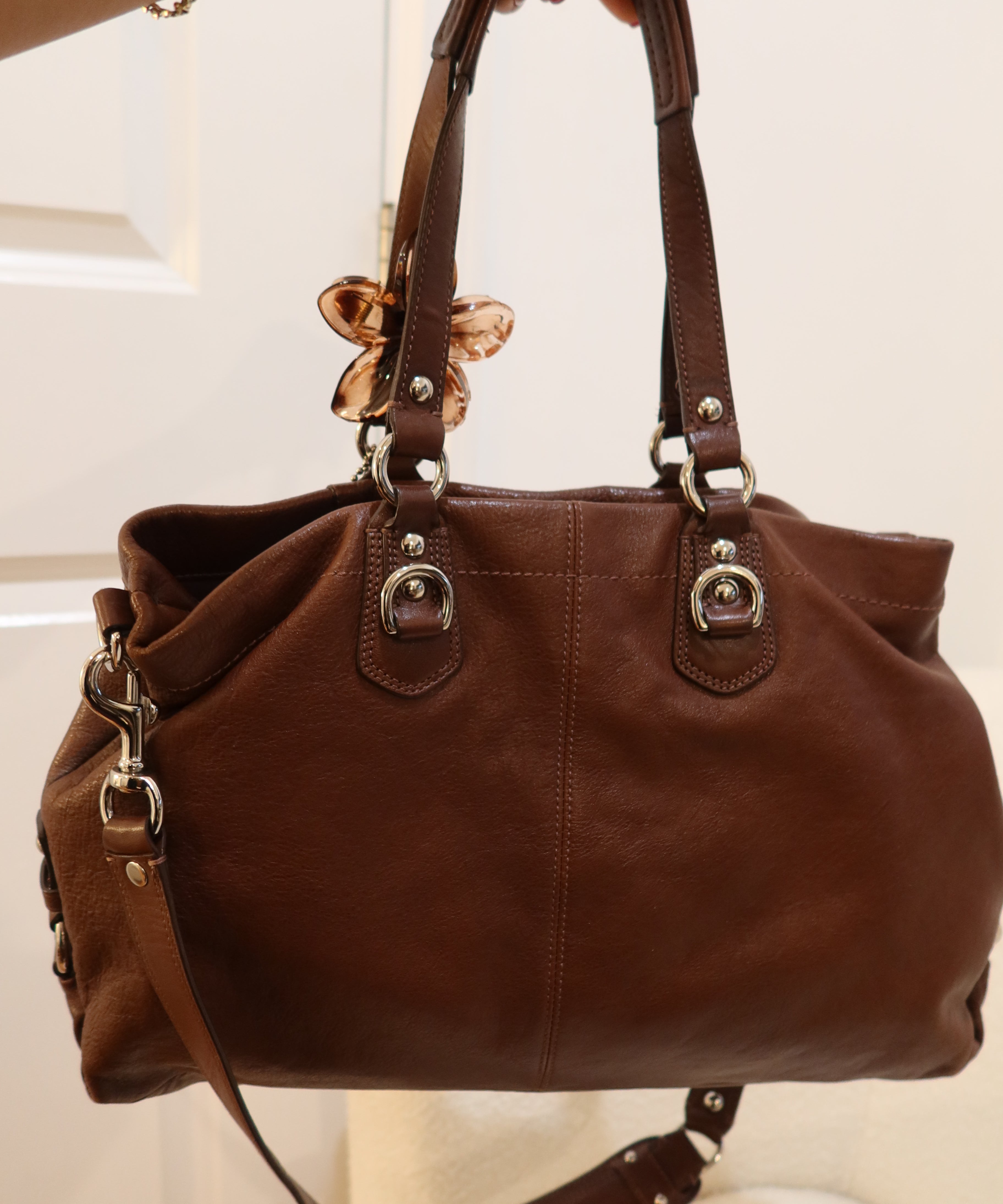 Coach Brown Leather Ashley Carry-All Bag