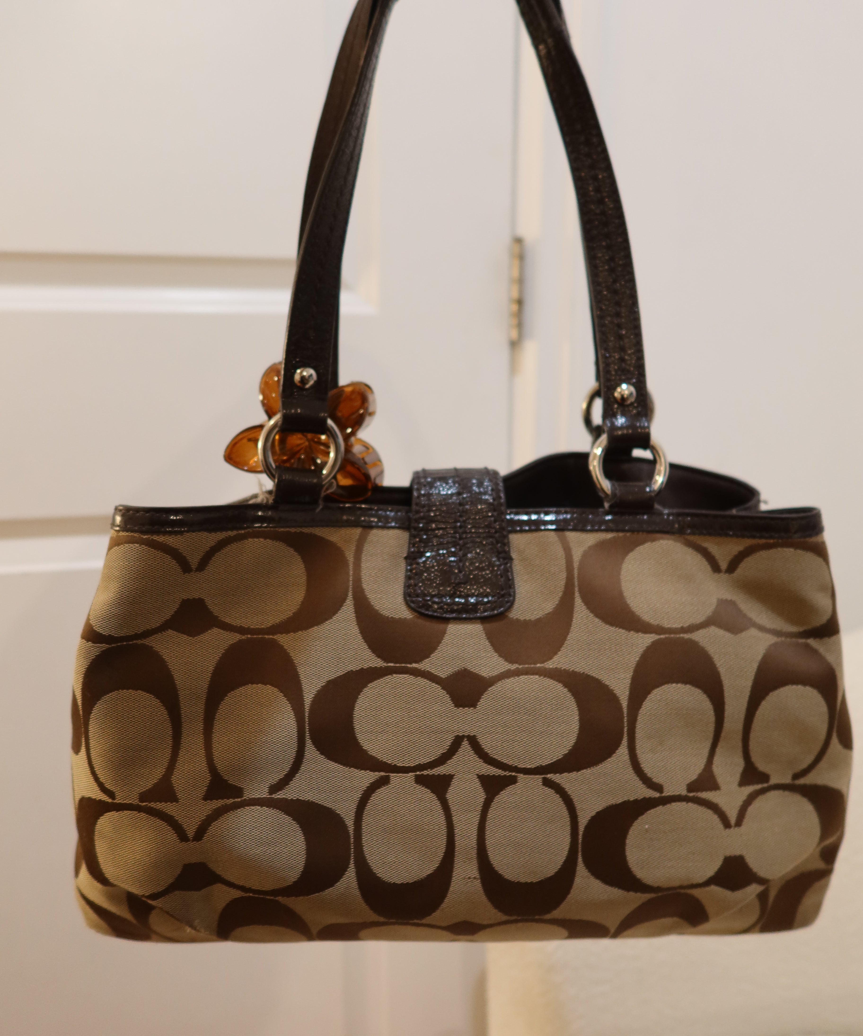 Coach Brown Signature Tote Bag