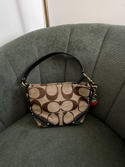 Brown Coach Signature Mini Carly Bag